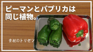 【食材のトリセツ】ピーマンとパプリカ、実は同じ植物？