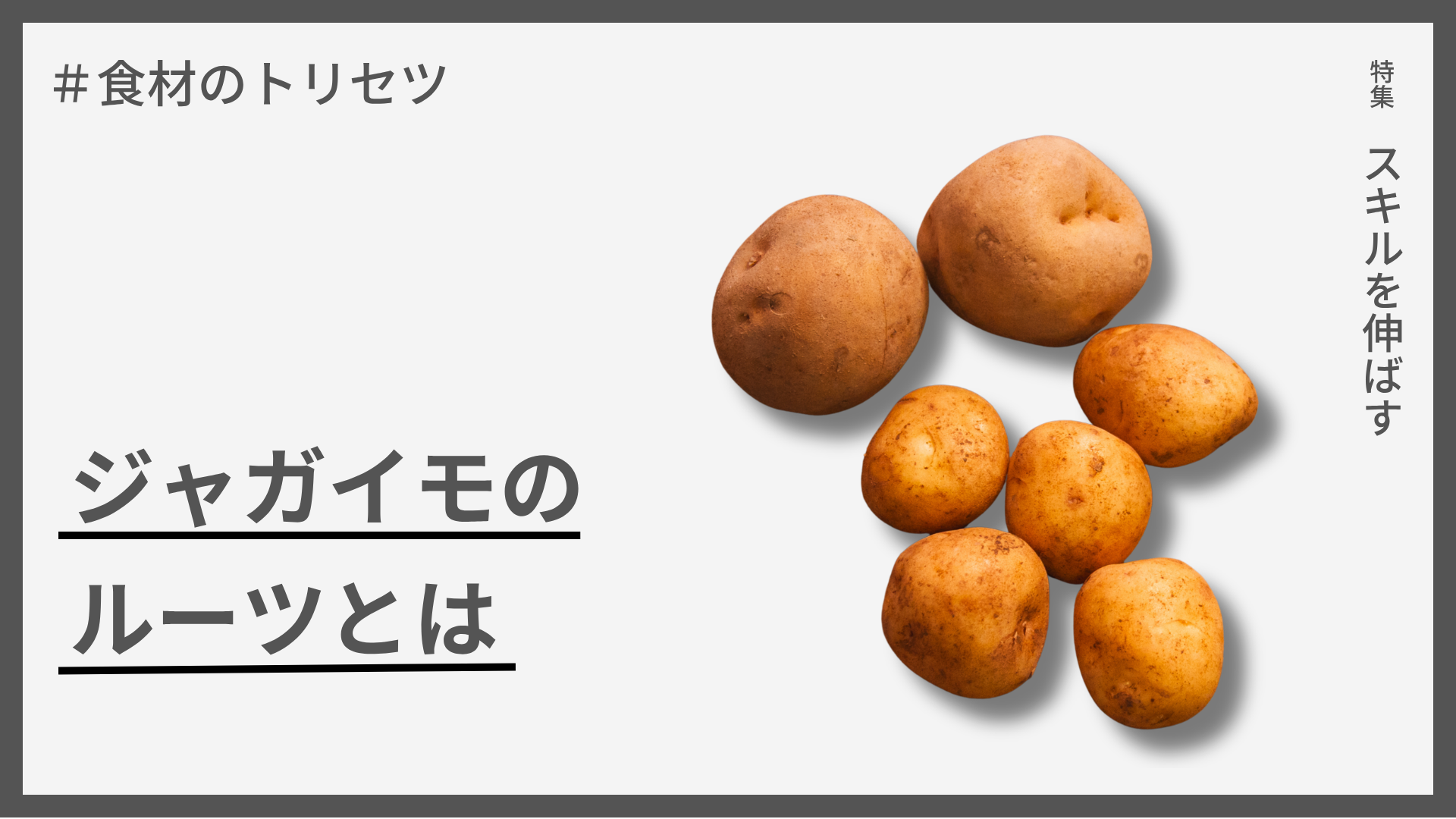 【食材のトリセツ】ジャガイモのルーツ — 南米からヨーロッパ、そして世界へ