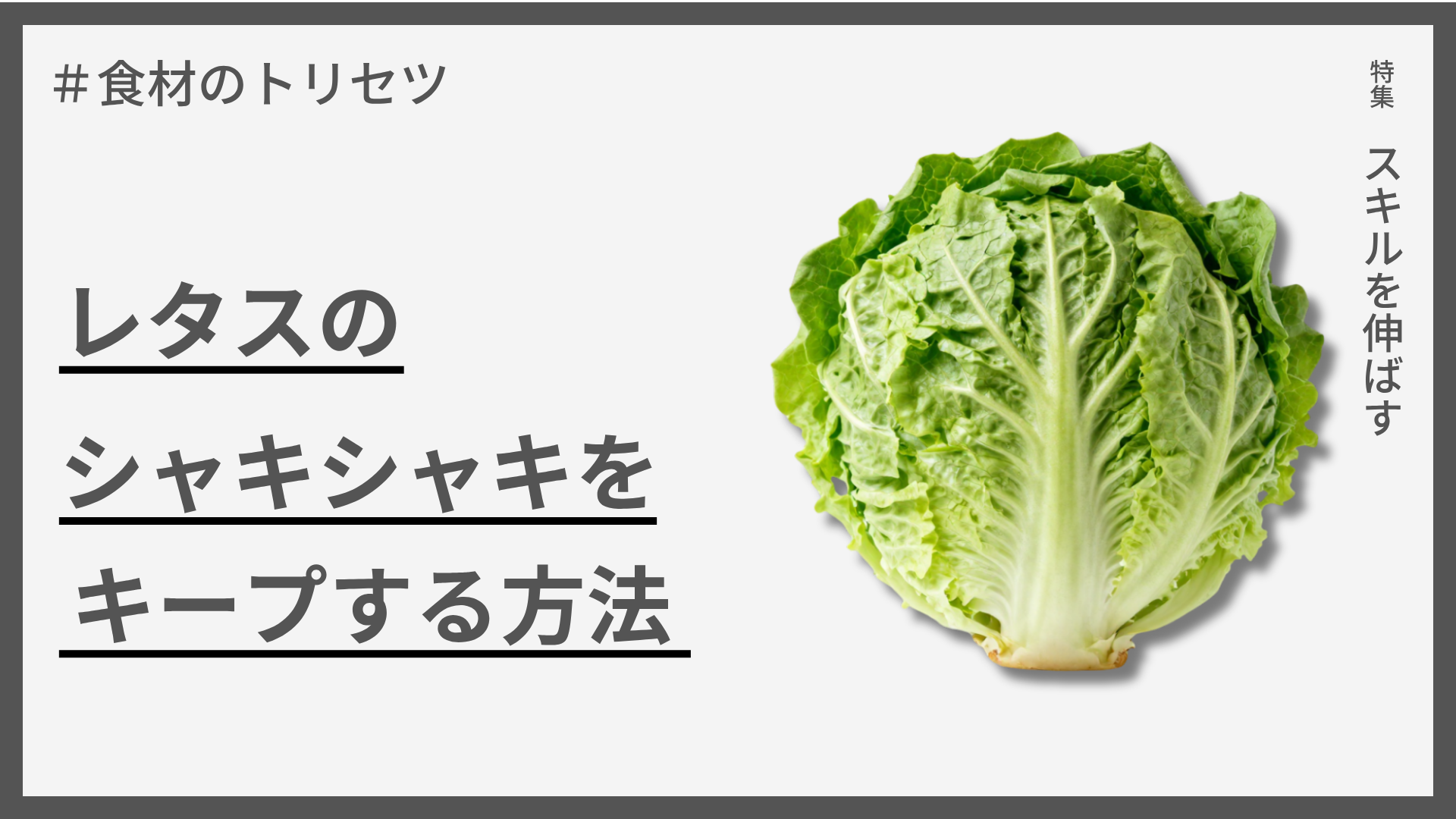【食材のトリセツ】レタスのシャキシャキをキープする方法