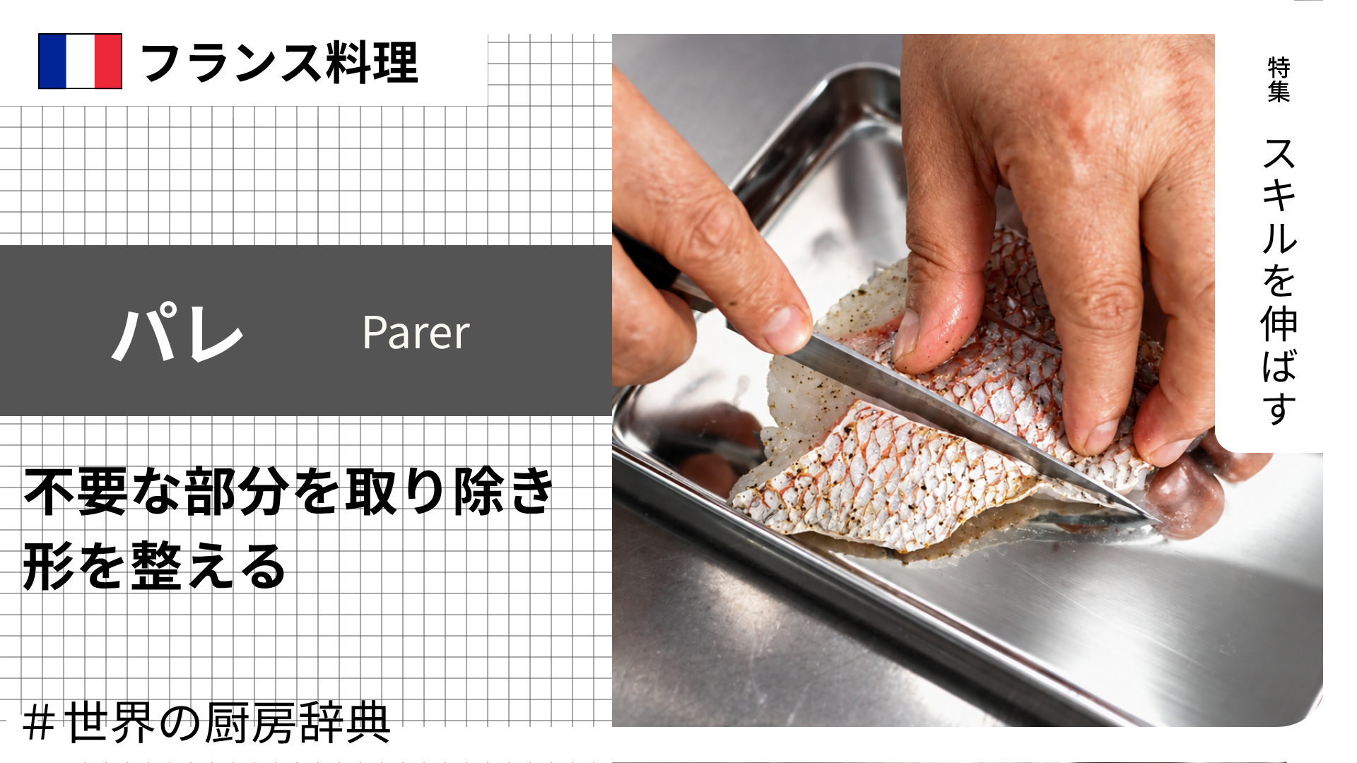 【調理用語 フランス料理】「パレ」— 不要な部分を取り除き、形を整える仕込みの基本