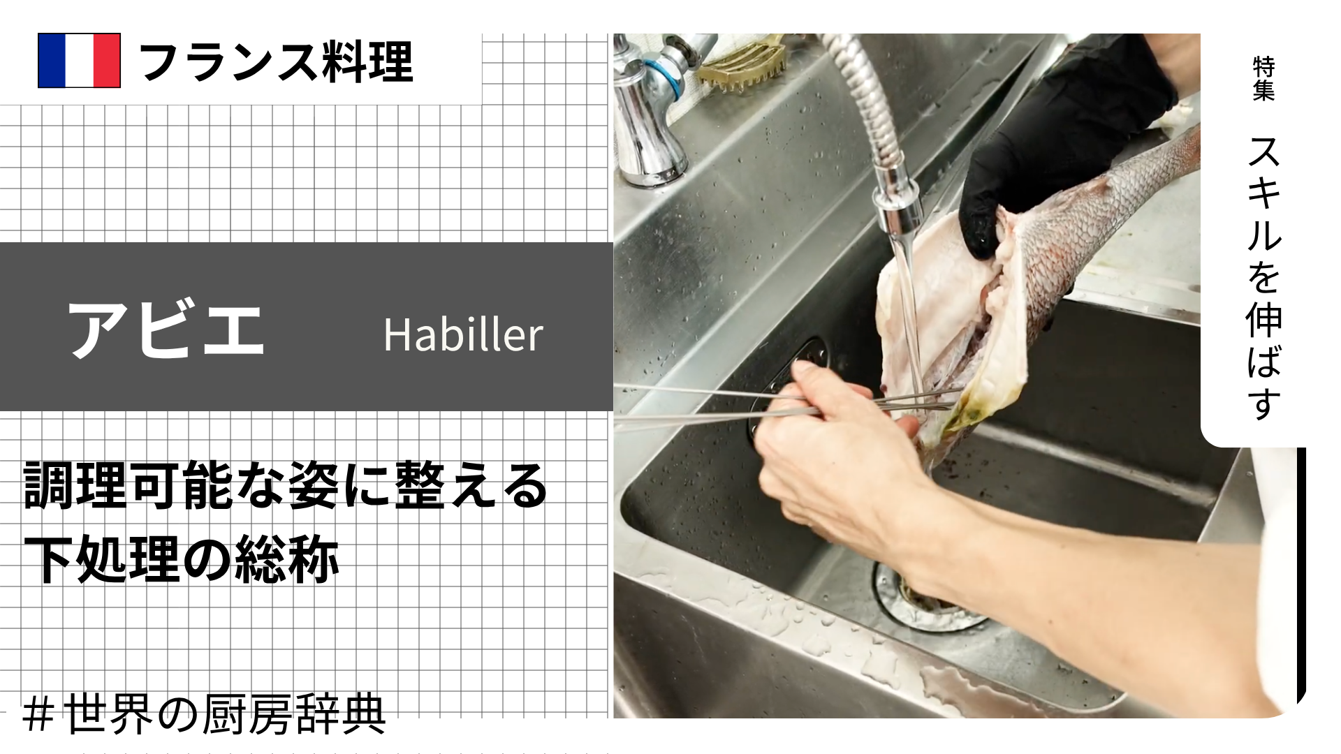 【調理用語 フランス料理】「アビエ」— 魚や鶏を調理可能な姿に整える、下処理の総称
