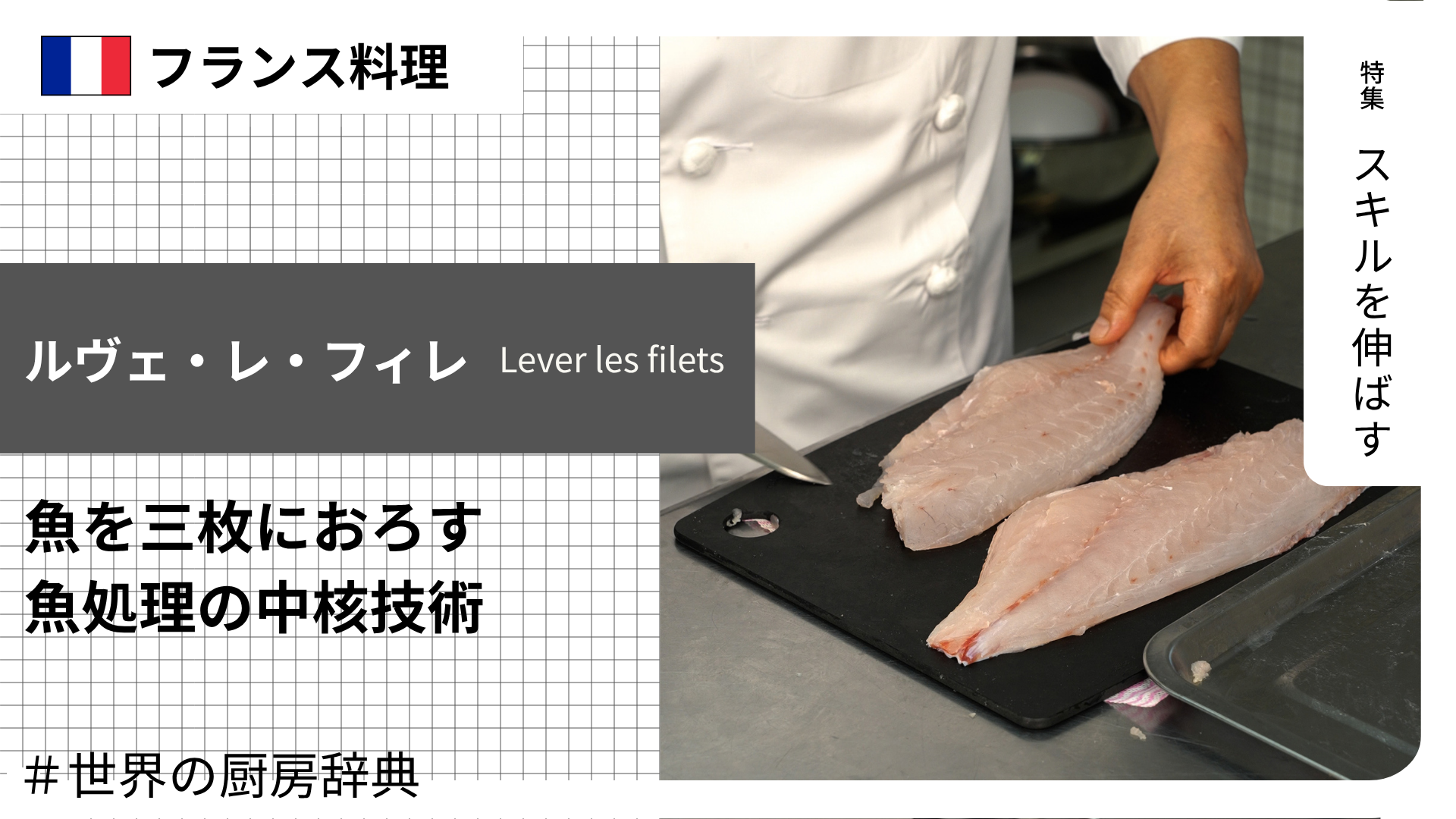 【調理用語 フランス料理】「ルヴェ・レ・フィレ」— 魚を三枚におろす、魚処理の中核技術