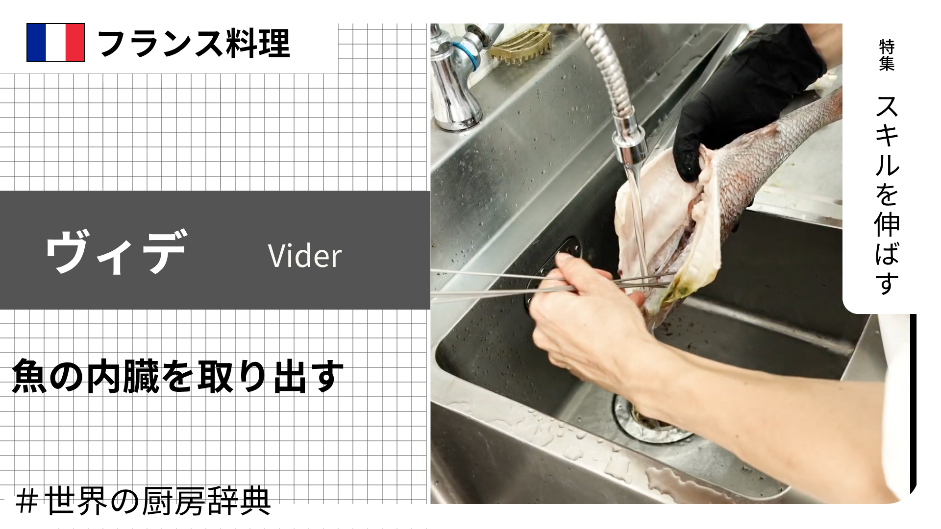 【調理用語 フランス料理】「ヴィデ」— 魚の内臓を取り出す、「空にする」が由来の動詞