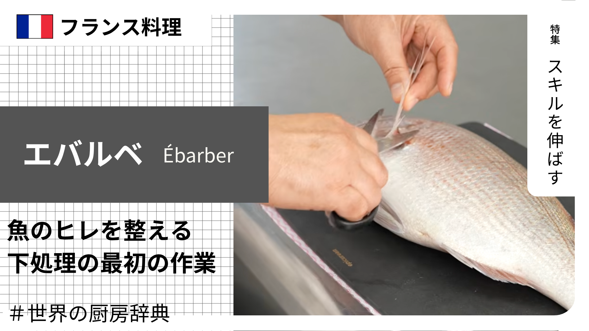 【調理用語 フランス料理】「エバルベ」— 魚のヒレを切り整える、下処理の最初の作業
